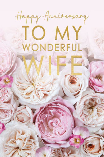 Picture of WONDERFUL WIFE BIRTHDAY CARD